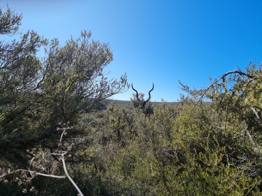 Commercial Property for Sale in Montagu Rural Western Cape